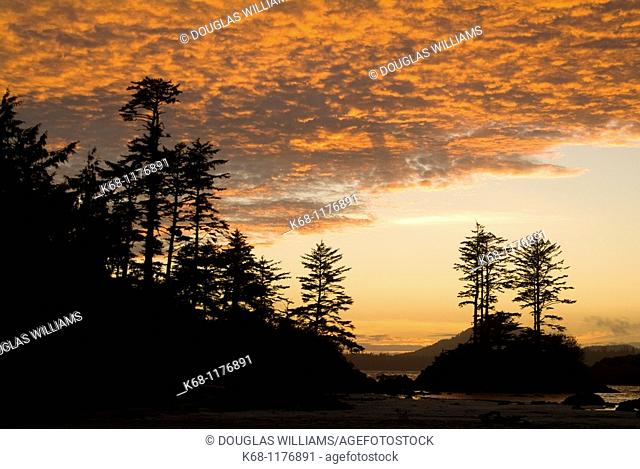 sunset, Canadian West Coast, Flores Island, British Columbia, Canada