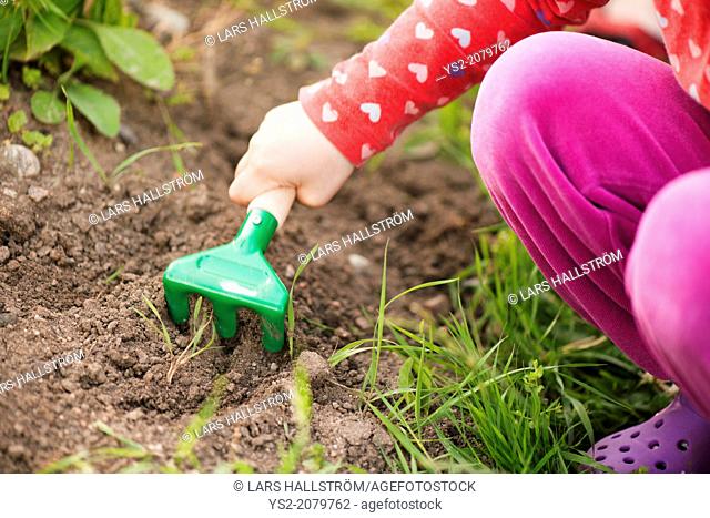 Close up of young child in garden helping with plants and flowers, digging in the soil