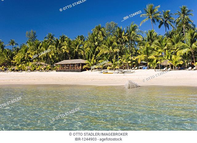 Palm beach, Ngapali Beach, Thandwe, Rakhine Coast, Bay of Bengal, Burma, Myanmar, Asia
