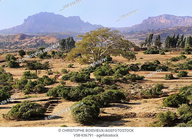 Gheralta range. Hawsien region. Tigray. Ethiopia