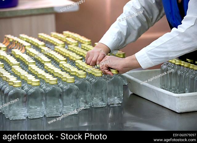 A row of glass bottles on a conveyor belt for the production of alcoholic beverages