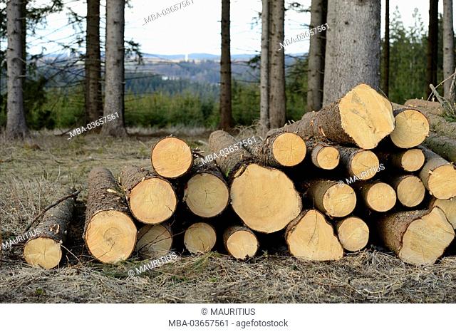 log bollard, wood, winter, Upper Palatinate, Bavaria, Germany