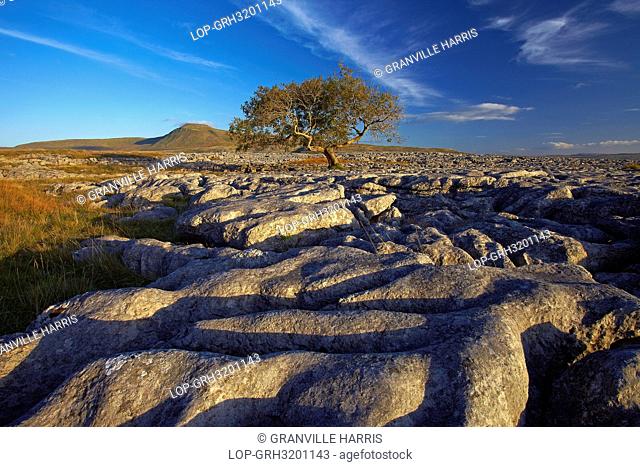 England, North Yorkshire, Ingleton. View of Ingleborough, the second highest mountain in the Yorkshire Dales and one of the Yorkshire Three Peaks