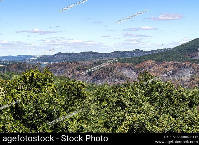 A large forest fire in the Ceske Svycarsko (Czech Switzerland) National Park, near Hrensko, Czech Republic, on August 6, 2022