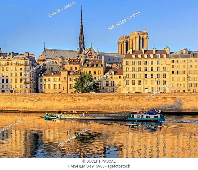 France, Paris, area listed as World Heritage by UNESCO, view of Notre Dame cathedral on the Ile de la Cite at sunrise