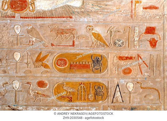 The frescoes on the walls of the temple, Hatshepsut's temple, the focal point of the complex, Luxor (Thebes), Egypt, Africa