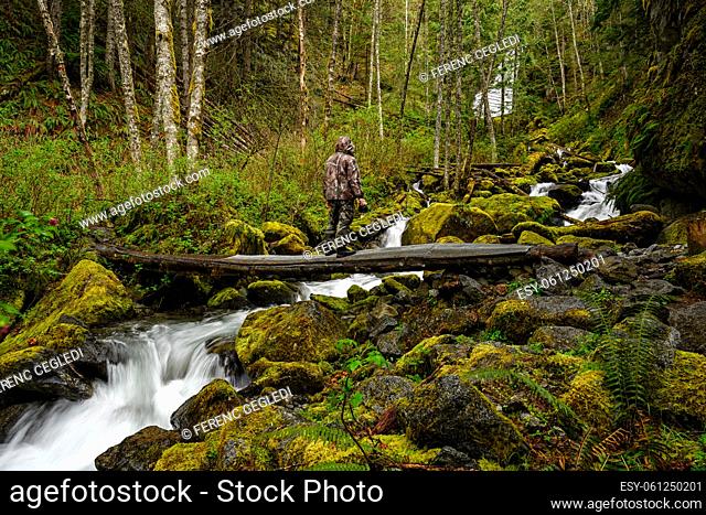 A male nature photographer in camouflage clothing is holding his camera and standing on an old log bridge over the creek coming from the Bosumarne Falls...