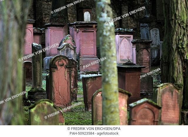 Old gravestones stand on the grounds of the Jewish cemetery, also known as the Judensand, in Mainz, Germany, 25 July 2014