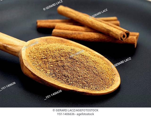 CINNAMON BARK AND POWDER cinnamomum zeylanicum AGAINST BLACK BACKGROUND