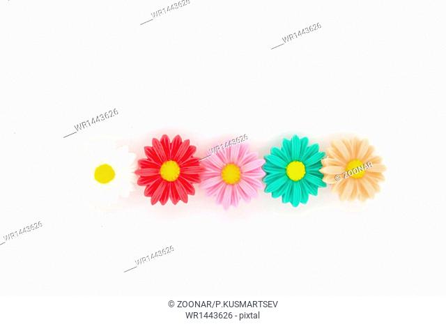 Multi-colored flowers on a white background