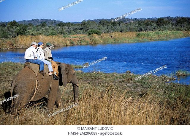 Zimbabwe, Matabeleland North Province, Victoria Falls, Elephant camp