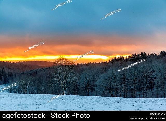 winterlicher Harz im Sonnenuntergang