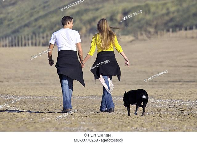 Beach, couple, hand in hand,  Walk, dog, view from behind  Sandy beach, beach walk, partnership,  Relationship, friends, young, falls in love, hands, holding