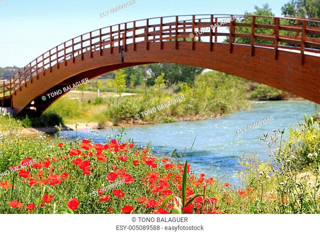 red poppies flowers meadow river wooden bridge