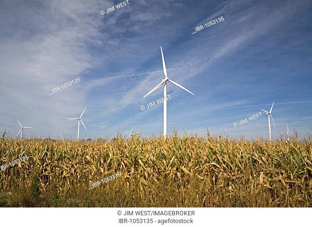 Wind turbines at the Harvest Wind Farm, Pigeon, Michigan, USA