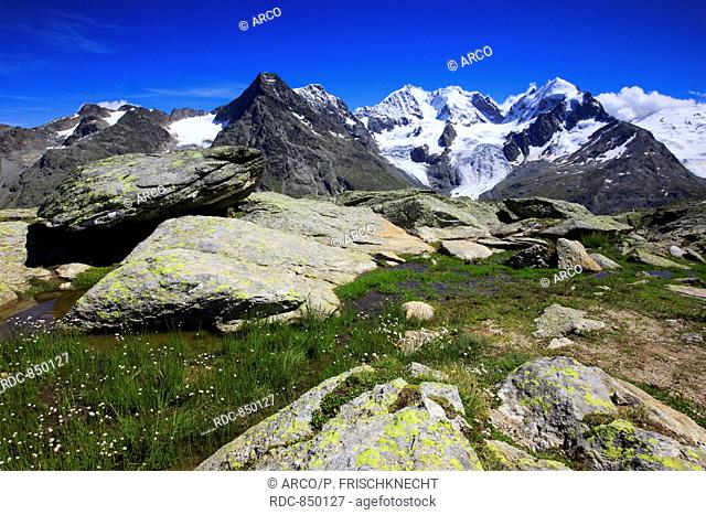 Piz Tschierva, 3546 m, Piz Bernina, 4049 m, Biancograt, Piz Roseg, 3937 m, Graubuenden, Schweiz