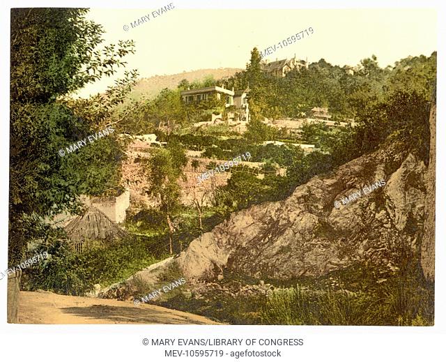 Hillside, Mentone, Riviera (i.e., Menton, France). Date between ca. 1890 and ca. 1900