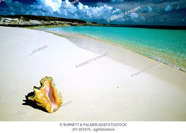 Horizontal image of an idyllic beach scenic with queen conch shell. Shot before a storm on Gibbs Cay, Grand Turk. Turks and Caicos Islands