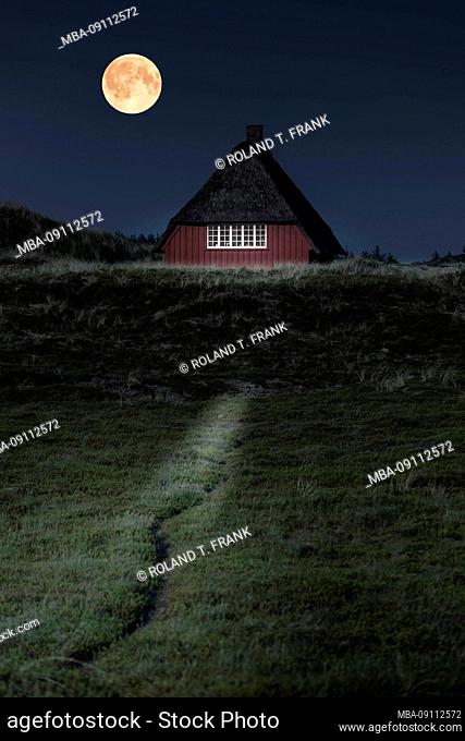 Denmark, Jutland, Ringkobing Fjord, house in the dunes at Nymindegab, with full moon