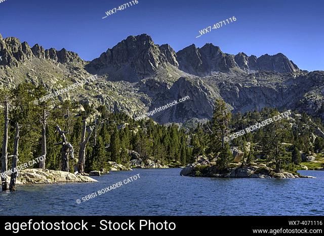 Headwaters of the Peguera valley seen from the Estany Tort de Peguera lake (Sant Maurici National Park, Catalonia, Spain, Pyrenees)
