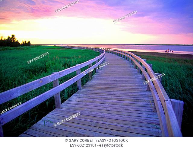 a boardwalk at Kelly's Beach Kouchibouguac National Park New Brunswick Canada