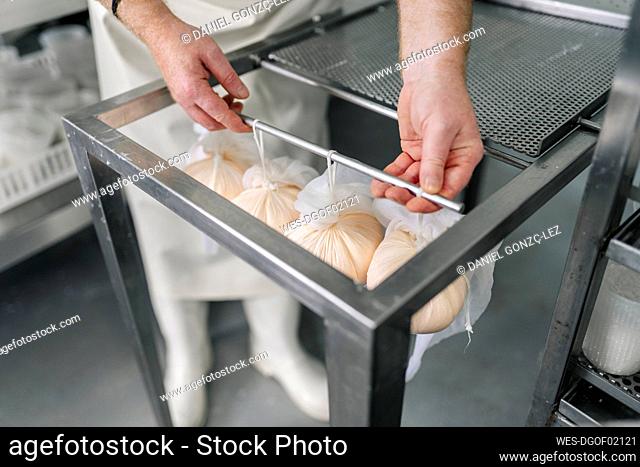 Chef holding rod of hanging cheese wrapped in clothes at factory