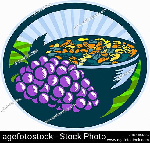 Illustration of a bunch of grapes and raisins in a bowl set inside oval shape with sunburst in the background done in retro woodcut style