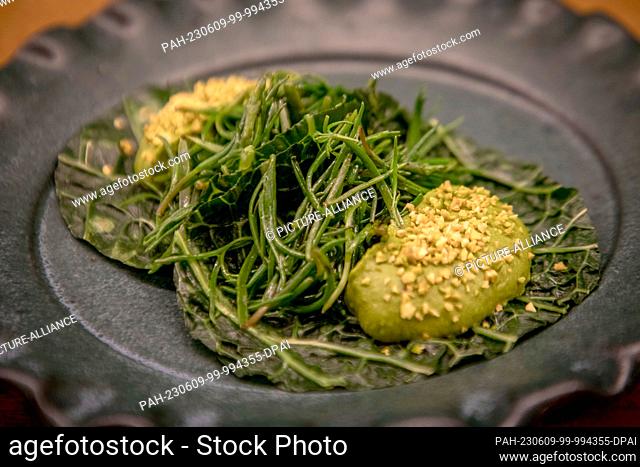 PRODUCTION - 20 April 2023, Mexico, Mexiko-Stadt: Cabbage tacos with pistachio-pipian sauce and rosemary, a creation of Mexican chef Elena Reygadas at her...