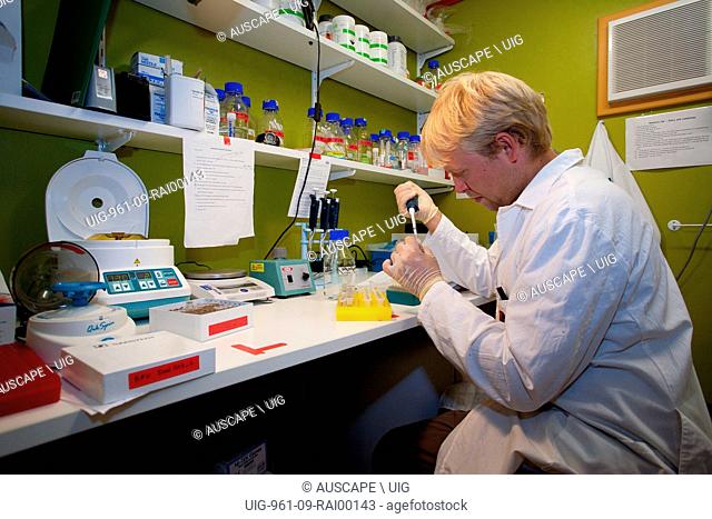 A biologist specializing in animal behavior, at work in field station. A biologist specializing in animal behavior, at work in field station