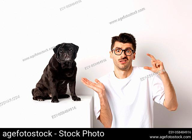 Image of puzzled young man sitting near cute black pug, showing small size and shrugging confused, white background