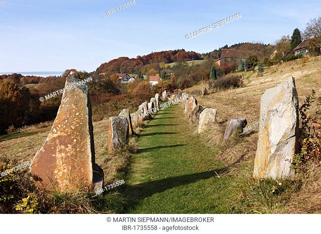Stone avenue, Celtic megalith replicas, Geyersberg, Bergen municipality in the Dunkelsteinerwald area, Wachau, Mostviertel region, Lower Austria, Austria