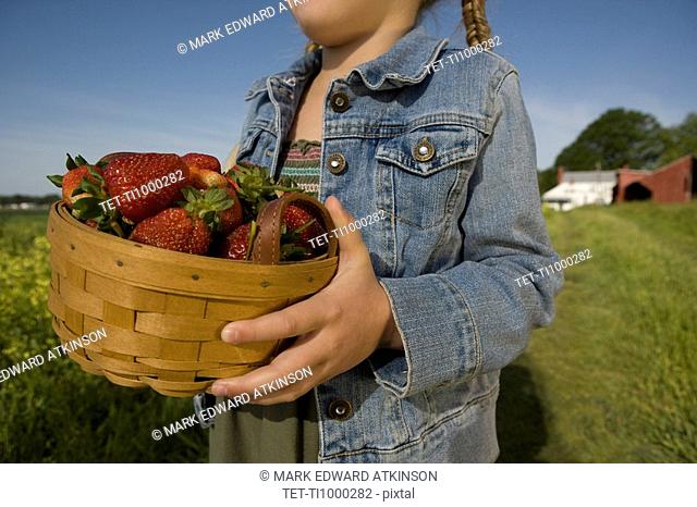 Girl picking strawberries