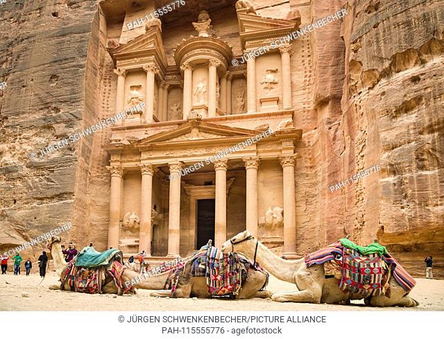 Camels wait in front of the so-called ""The Treasury"" in the rock town of Petra (Jordan) for tourists who do not want to walk the way through the extensive...
