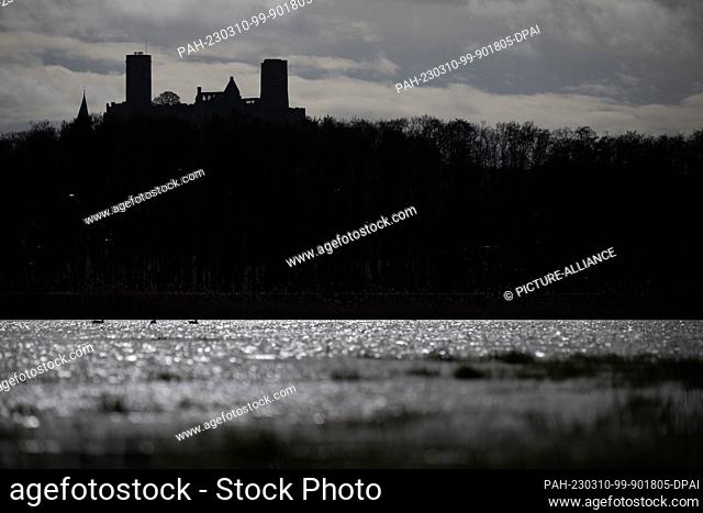 10 March 2023, Hesse, Münzenberg: Water stands on the salt marshes in front of the ruins of Münzenberg Castle, behind which clouds pass by