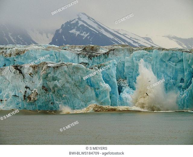 calving glacier Monaco Glacier, Norway, Svalbard, Liefdefjorden