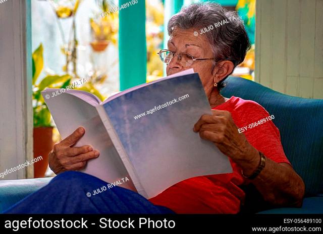 Senior woman wearing eyeglasses sitting reading a book