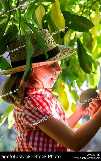 Smiling girl picking avocado in garden