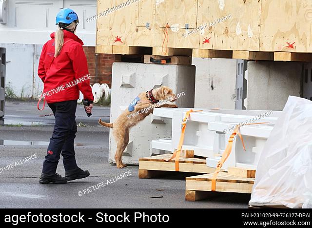28 October 2023, Thuringia, Erfurt: Dog handler Marion Puppert trains with cadaver search dog ""Peggy"" on the premises of a company to find a missing person