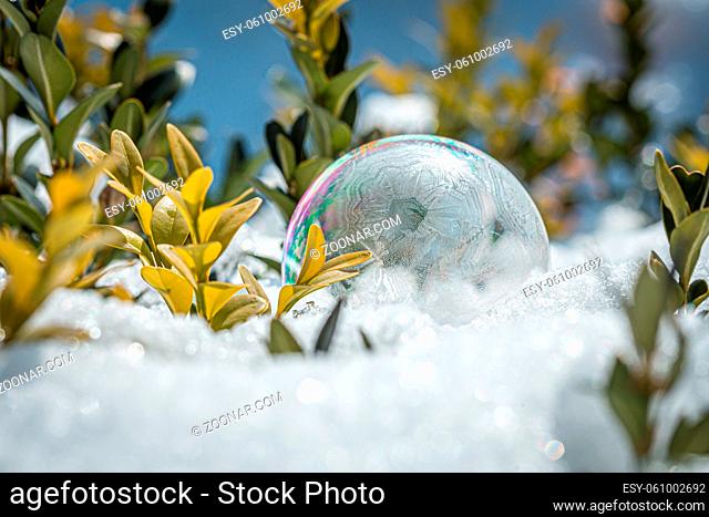 Frozen soap bubble with a beautiful pattern on the snow