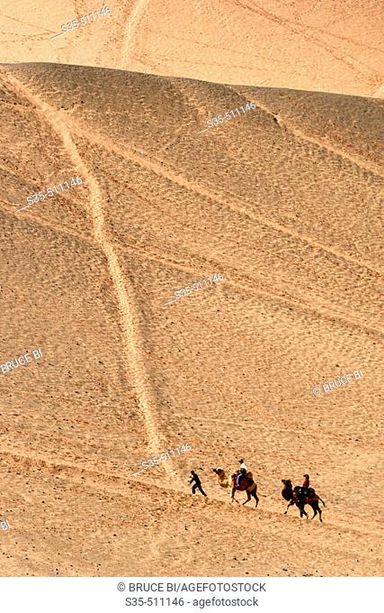 Camels carry passengers in the desert, Turpan, Xinjiang Province, China