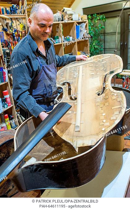 Master craftsman Peer Schreier works on the restoration of a more than 200 year old contrabass at his workshop in Wulkow, near Frankfurt Oder, Germany