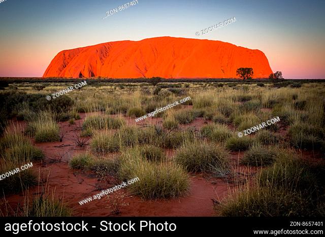 Majestic Uluru at sunset on a clear winter#39;s evening in the Northern Territory, Australia
