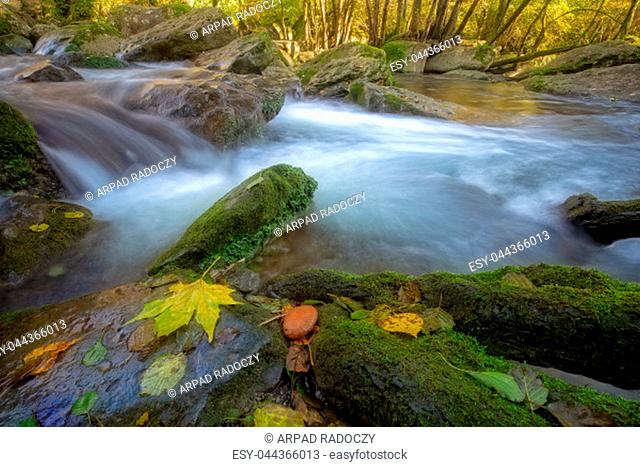 Beautiful creek in the forest in Spain, near the village Les Planes de Hostoles in Catalonia