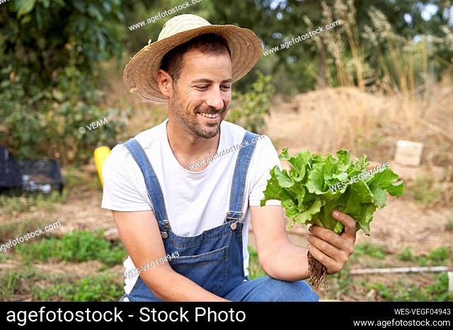 Smiling farmer in hat looking at fresh green lettuce