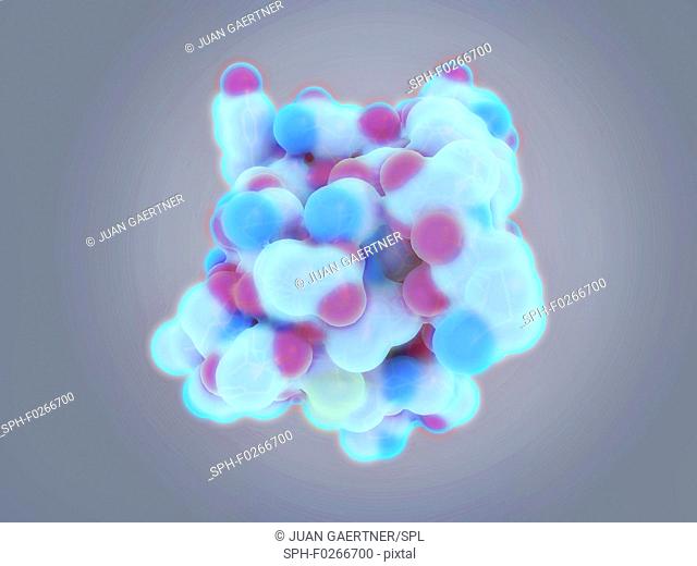 Insulin molecule, illustration. Insulin is a protein hormone produced in the pancreas that regulates the metabolism of carbohydrates, proteins and fats