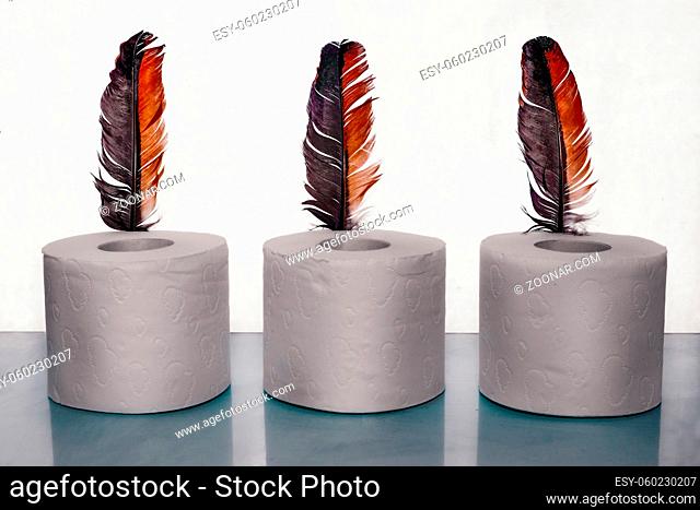 A roll of soft toilet paper next to a bird's feather, a symbol of gentle touch. Front view, copy space