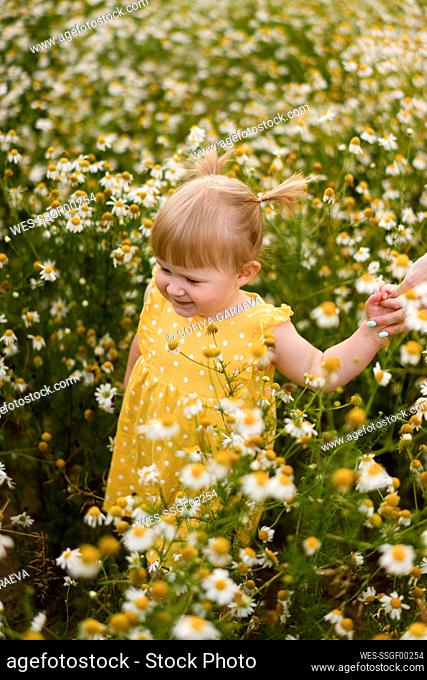 Blond girl holding hand of mother amidst flowers on meadow
