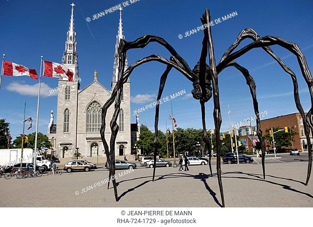 Maman a 21st century bronze sculpture of a spider, 9.25m high with a sac of 26 eggs, by Louis Bourgeois, in front of the Cathedral and Basilica of Notre Dame...