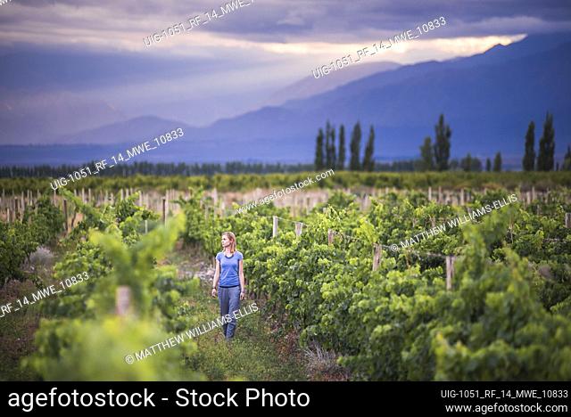 Woman in vineyards at Bodega La Azul, a winery in Uco Valley (Valle de Uco), a wine region in Mendoza Province, Argentina