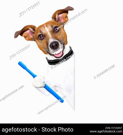 dog with big white teeth with a toothbrush behind banner placard